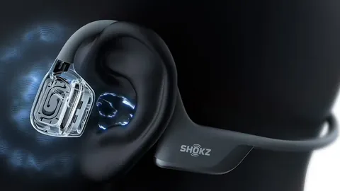 葡萄牙迎来孔塞桑回归，伊布欧冠活动将现身